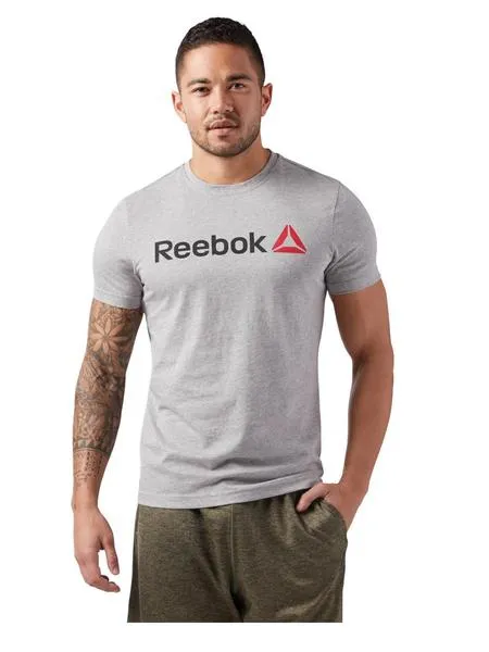 camiseta reebok linear read gris