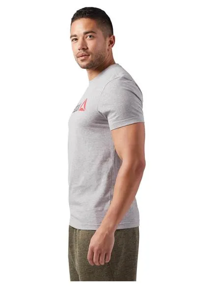 camiseta reebok linear read gris