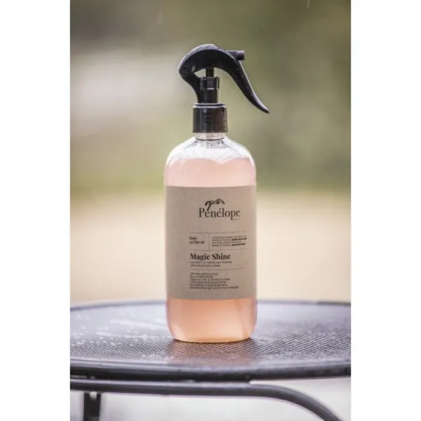 Lustrant "Magic shine"