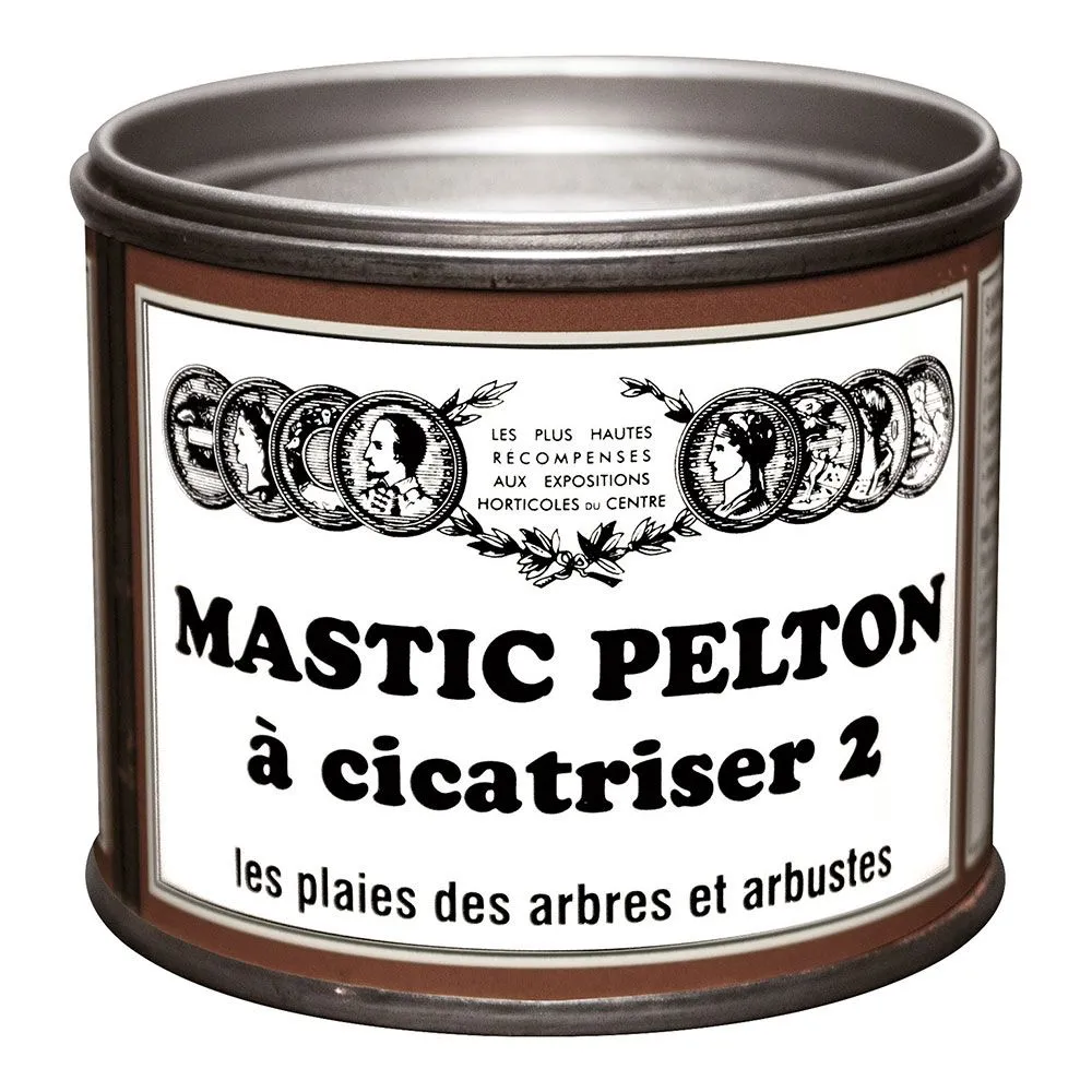 Mastic à Cicatriser