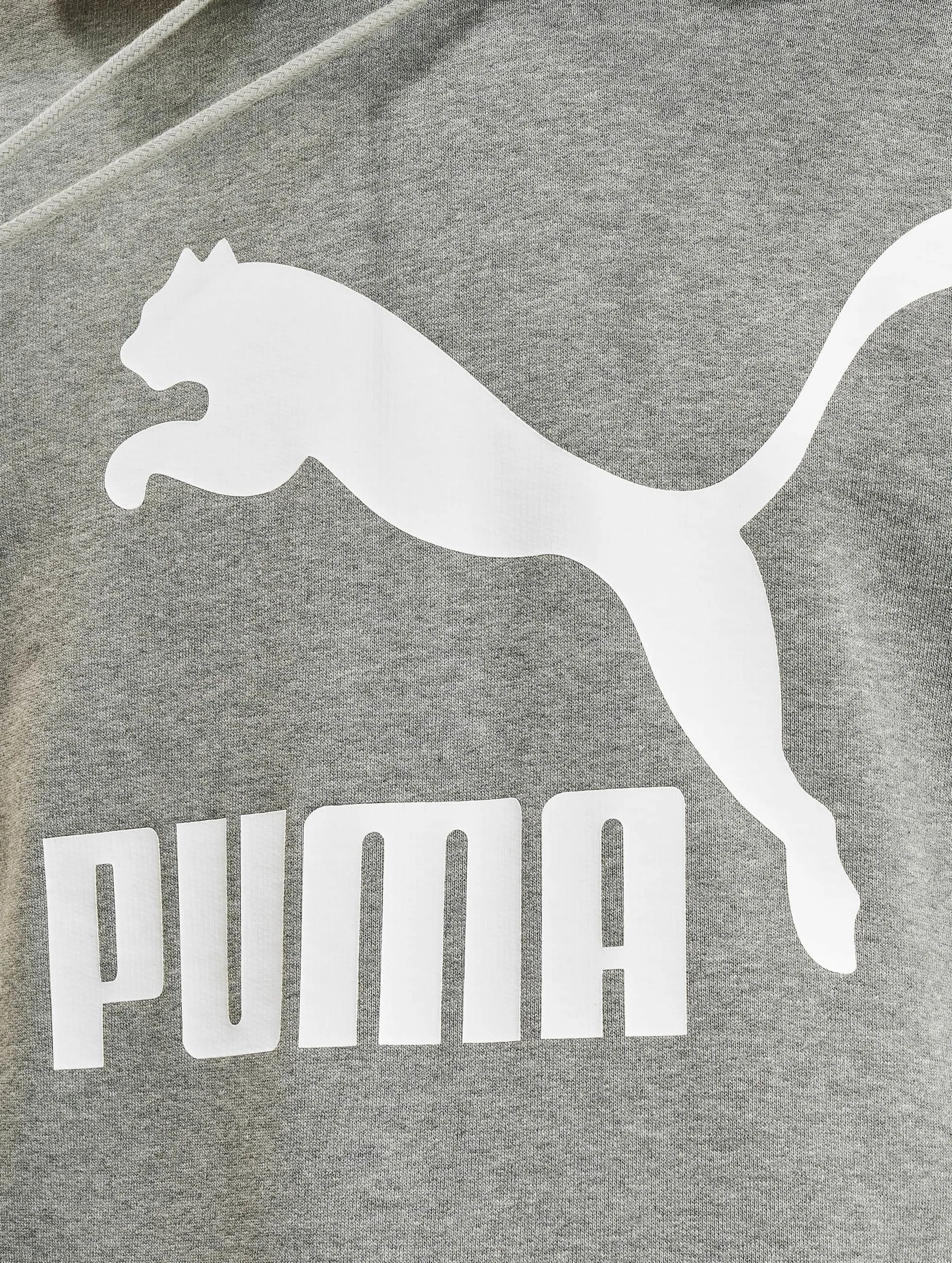 Puma Logo TR