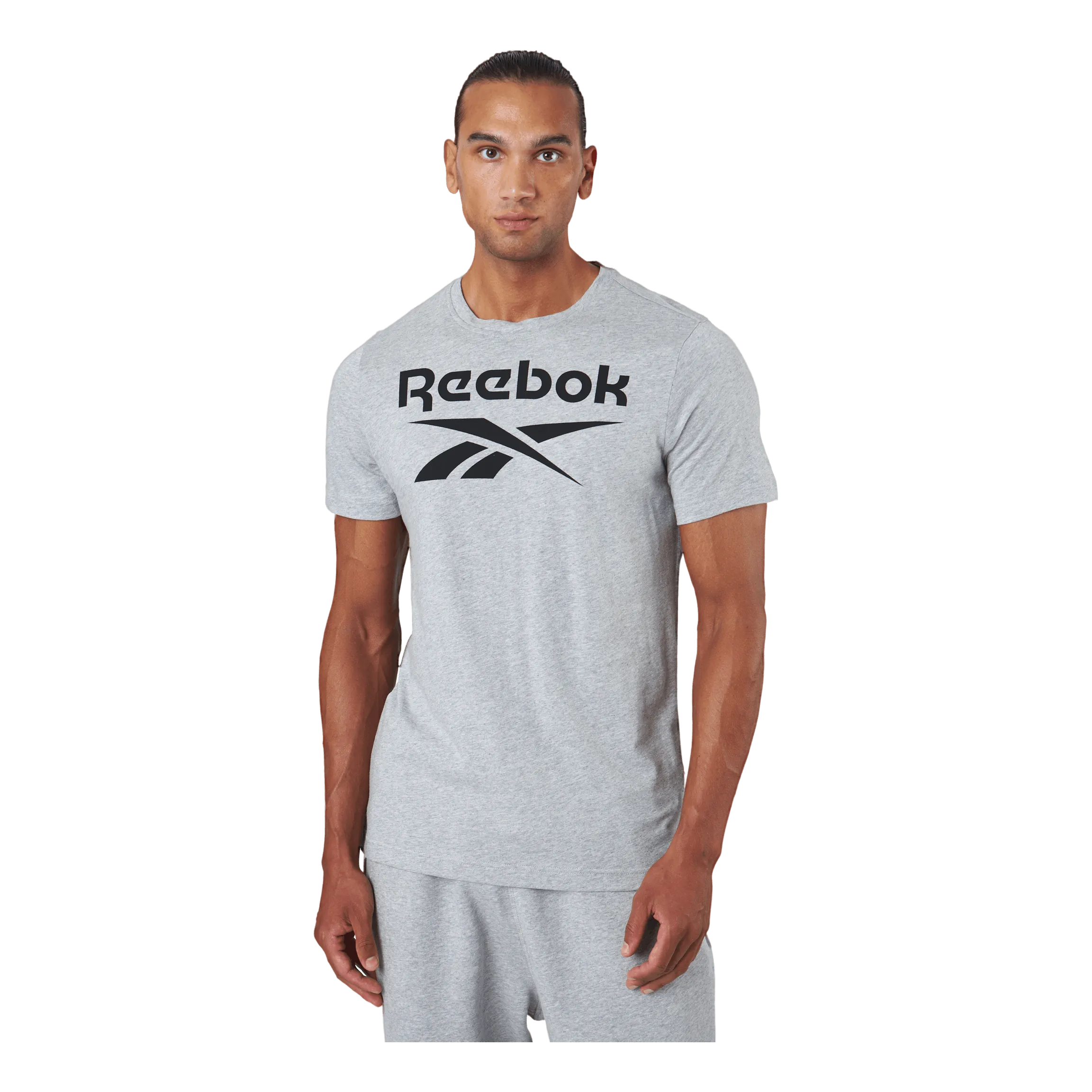 Reebok Ri Big Logo Tee Mgreyh